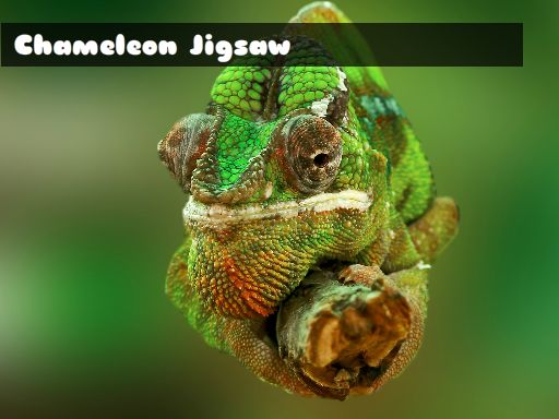 Chameleon Jigsaw Game Image Chameleon Jigsaw Game